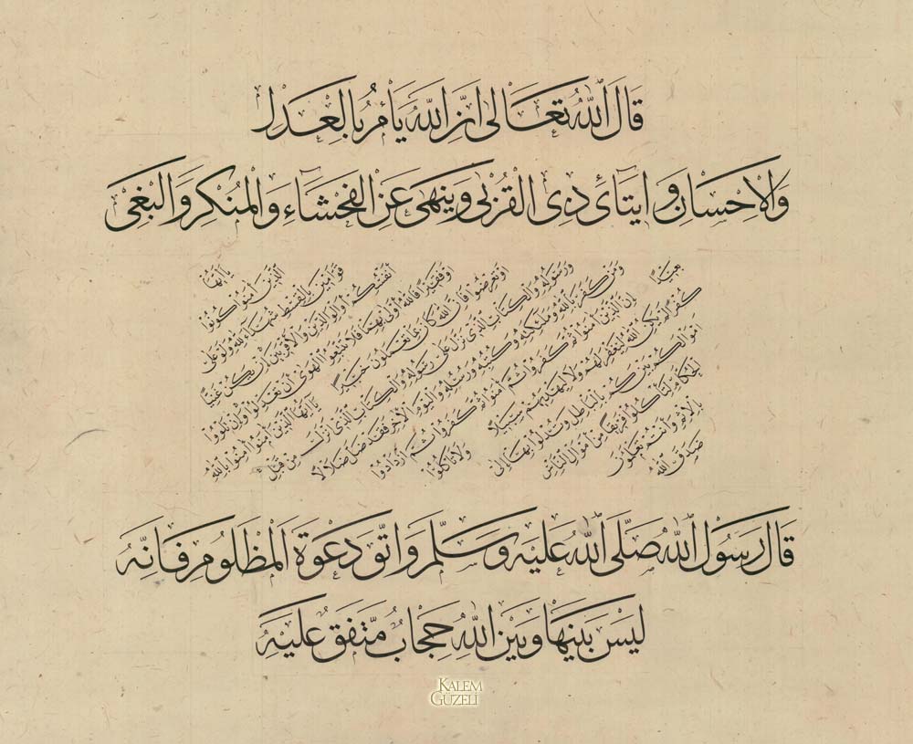 &copy; Osman Çiçek - Kıta